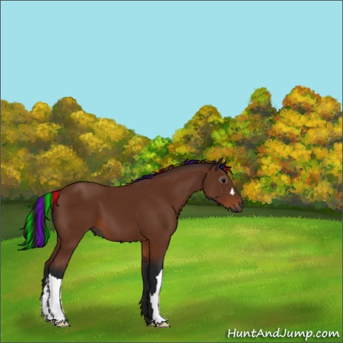 Horse Color:Gray Painted Buckskin 