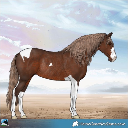 Horse Color:Liver Chestnut Tobiano Rabicano 
