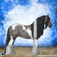 Horse Color:Grullo Ice Mushroom Tobiano