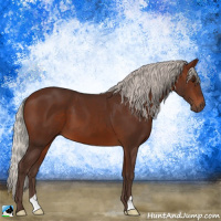 Horse Color:Silver Brown 