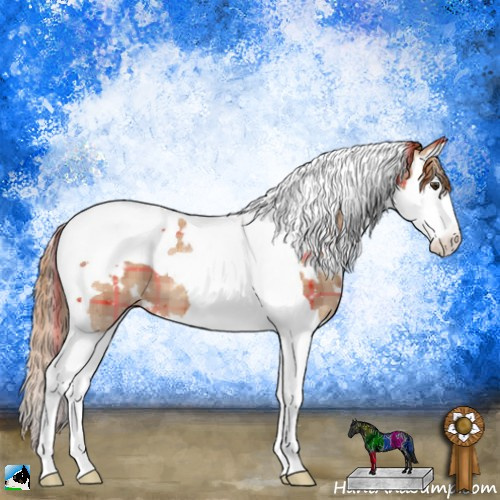 Horse Color:Plaid  White Spotted Chestnut Splash Tobiano 