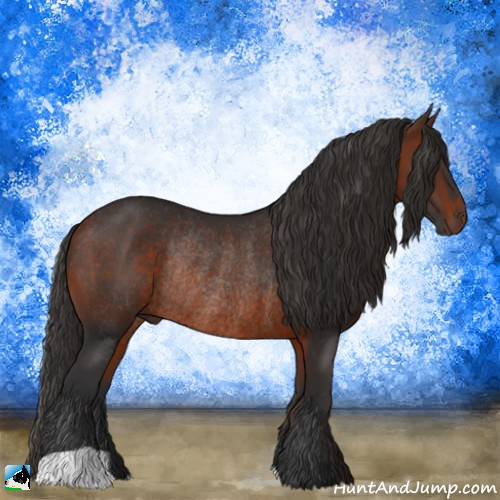 Horse Color:Bay Rabicano 