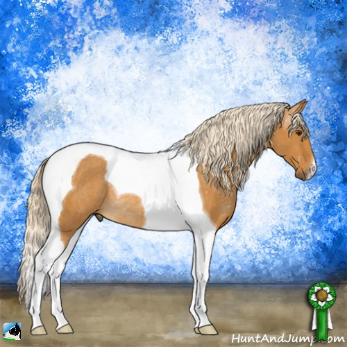 Horse Color:Palomino Tobiano Rabicano 