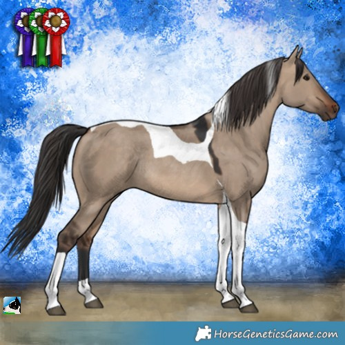 Horse Color:Brown Dun Tobiano Rabicano 