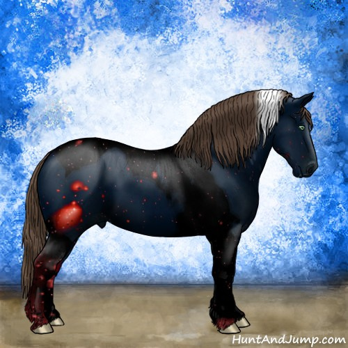 Horse Color:ERROR: UNKNOWN ANOMALY