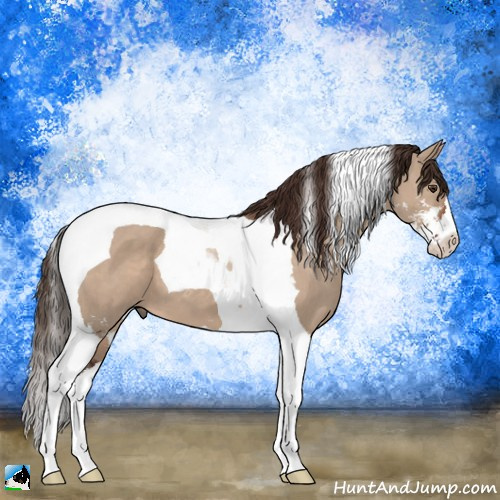 Horse Color:Liver Red Dun Sabino Tobiano 