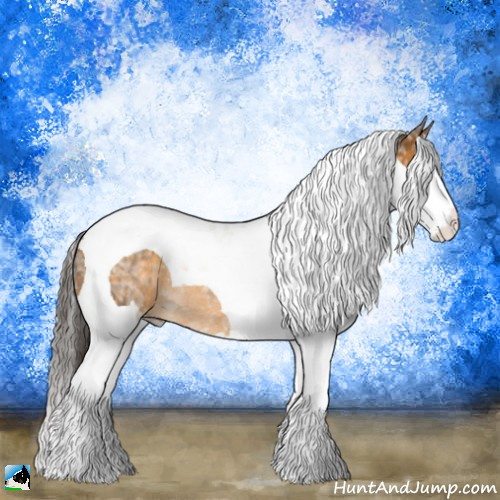 Horse Color:Buckskin Ice Sabino Splash Tobiano Rabicano 