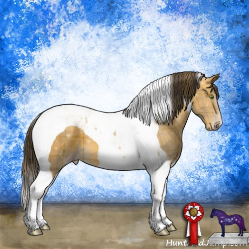 Horse Color:Plaid  Sable Cream Champagne Tobiano 