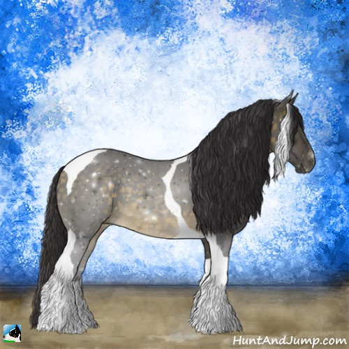 Horse Color:Buckskin Mushroom Tobiano Rabicano 