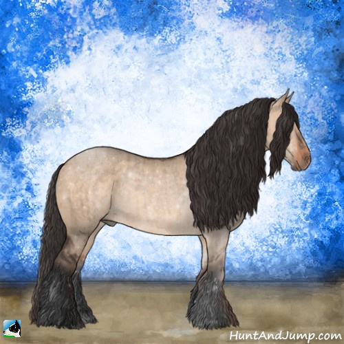 Horse Color:Bay Dun Rabicano Brindle 