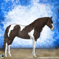Horse Color:Liver Chestnut Sabino Tobiano Rabicano
