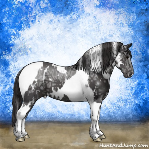 Horse Color:White Spotted Smoky Black Ice Tobiano 