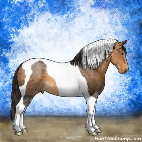Horse Color:Buckskin Tobiano 