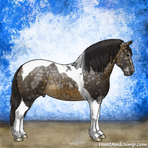 Horse Color:Buckskin Ice Tobiano 