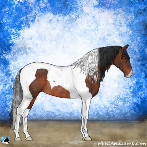 Horse Color:Brown Tobiano Rabicano 