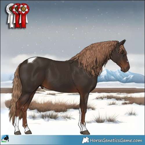 Horse Color:Liver Chestnut Tobiano 