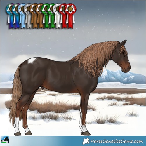 Horse Color:Liver Chestnut Tobiano 