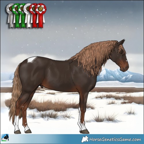 Horse Color:Liver Chestnut Tobiano 