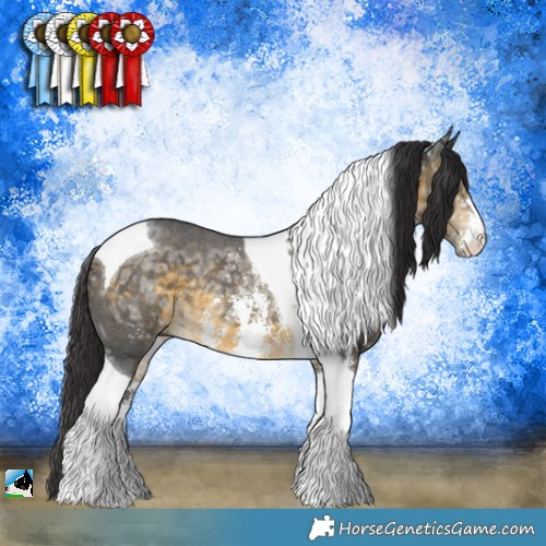 Horse Color:Buckskin Ice Sabino Tobiano Rabicano