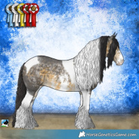 Horse Color:Buckskin Ice Sabino Tobiano Rabicano 