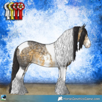 Horse Color:Buckskin Ice Sabino Tobiano Rabicano 