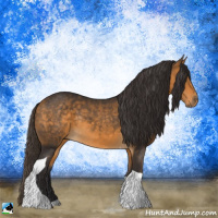 Horse Color:Buckskin Sabino Tobiano Rabicano