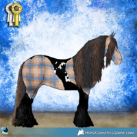 Horse Color:Plaid Sable Champagne Tobiano Rabicano