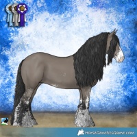 Horse Color:Grullo Mushroom Sabino Rabicano 
