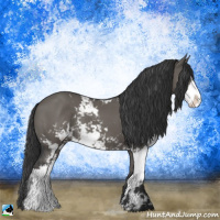 Horse Color:Grullo Mushroom Sabino Rabicano