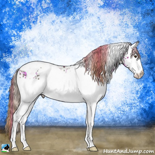 Horse Color:Plaid  White Spotted Liver Chestnut Tobiano Rabicano 