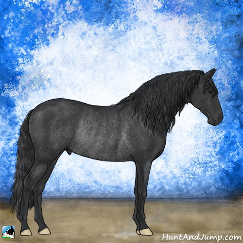 Horse Color:Black Rabicano 