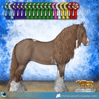 Horse Color:Liver Red Dun Sabino Tobiano Rabicano 