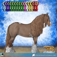 Horse Color:Liver Red Dun Sabino Tobiano Rabicano 