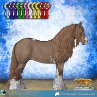 Horse Color:Liver Red Dun Sabino Tobiano Rabicano