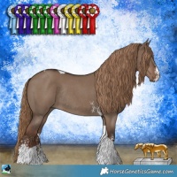 Horse Color:Liver Red Dun Sabino Tobiano Rabicano 