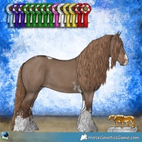 Horse Color:Liver Red Dun Sabino Tobiano Rabicano