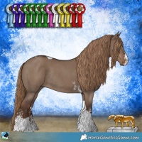 Horse Color:Liver Red Dun Sabino Tobiano Rabicano 