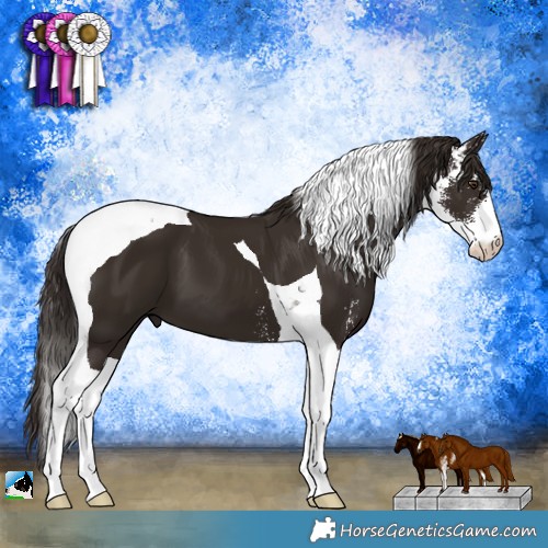 Horse Color:Liver Chestnut Sabino Tobiano 