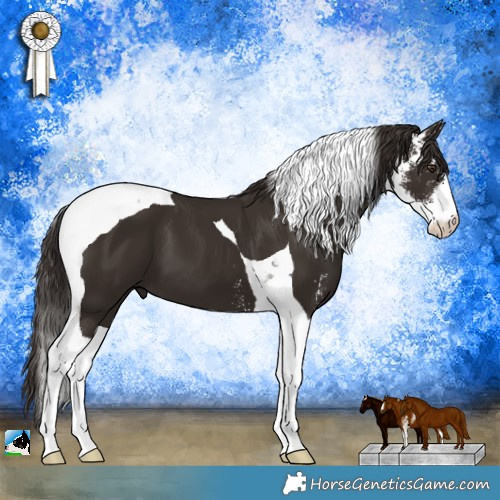Horse Color:Liver Chestnut Sabino Tobiano 
