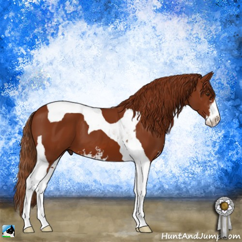Horse Color:Chestnut Sabino Tobiano 