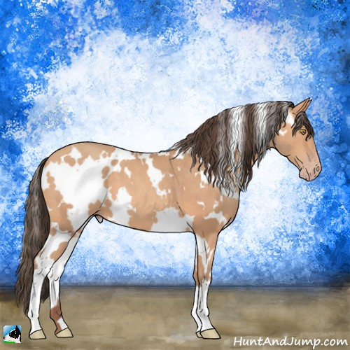 Horse Color:White Spotted Amber Champagne 