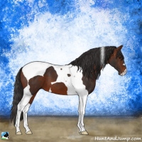 Horse Color:Bay Tobiano 