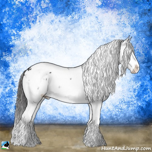 Horse Color:Smoky Black Mushroom Sabino Splash Rabicano 