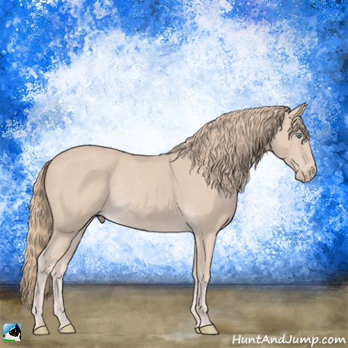 Horse Color:Smoky Creme Rabicano 