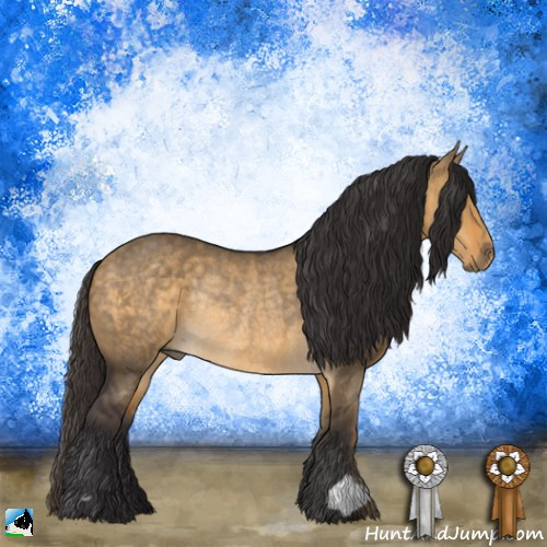 Horse Color:Buckskin Dun Rabicano 