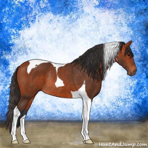 Horse Color:Bay Tobiano Rabicano 