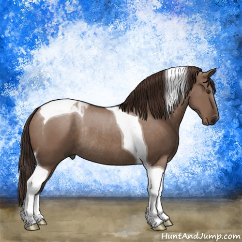 Horse Color:Liver Red Dun Sabino Tobiano Rabicano 