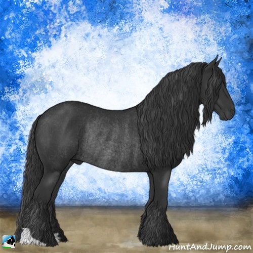 Horse Color:Black Rabicano 