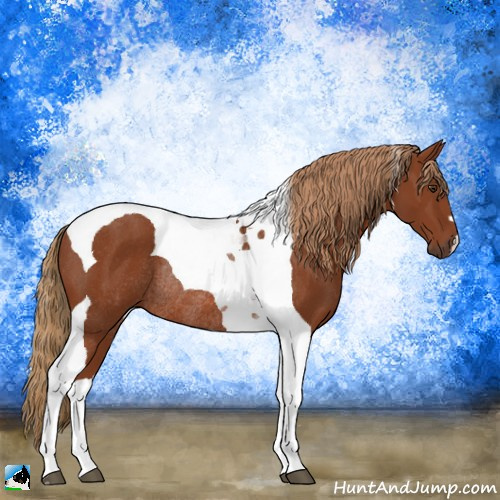 Horse Color:Chestnut Tobiano Rabicano 