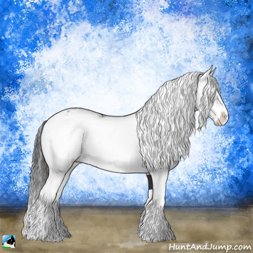 Horse Color:Brown Sabino Rabicano 